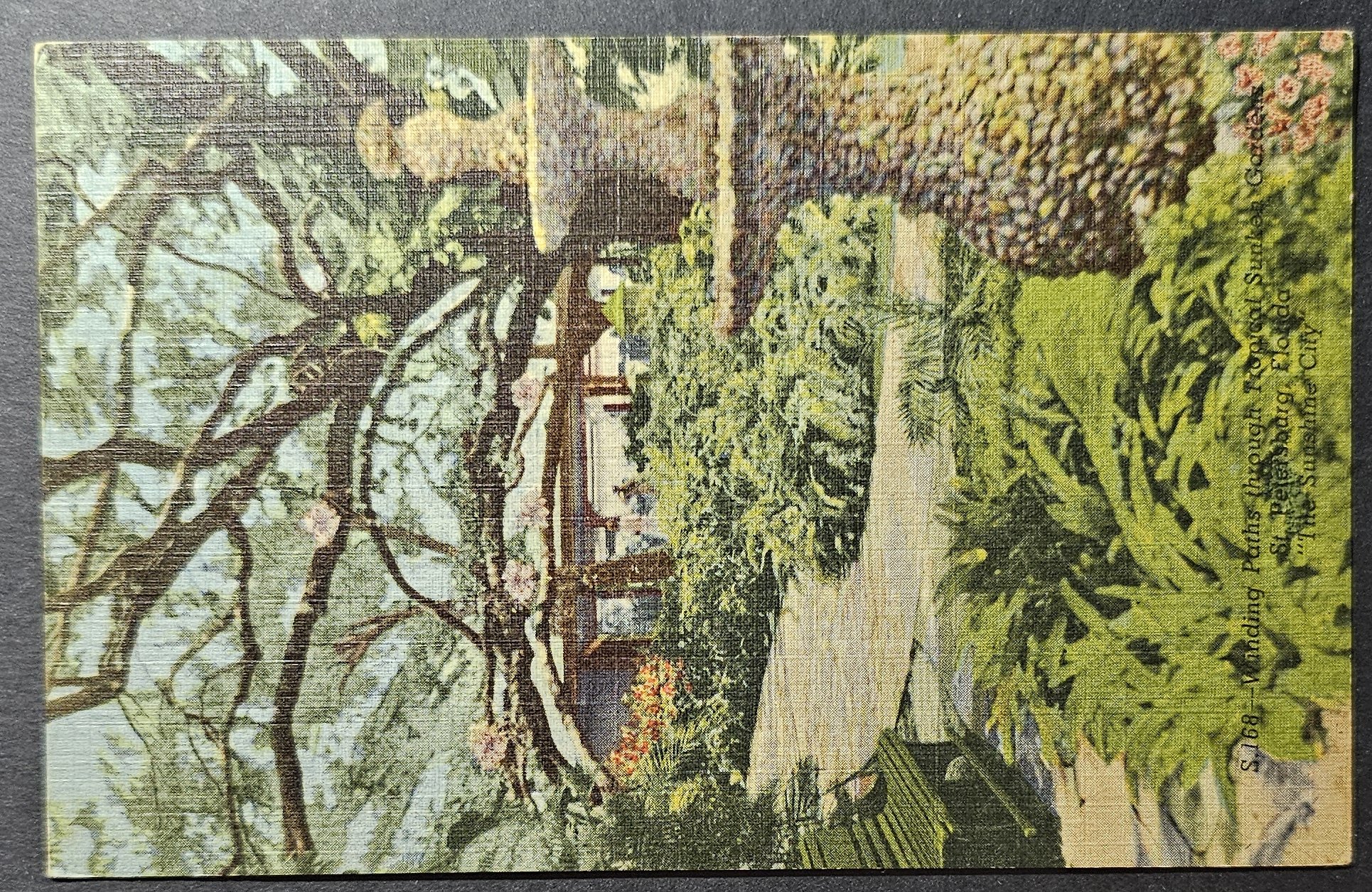 (image for) postcard USA - FL - Florida #0040